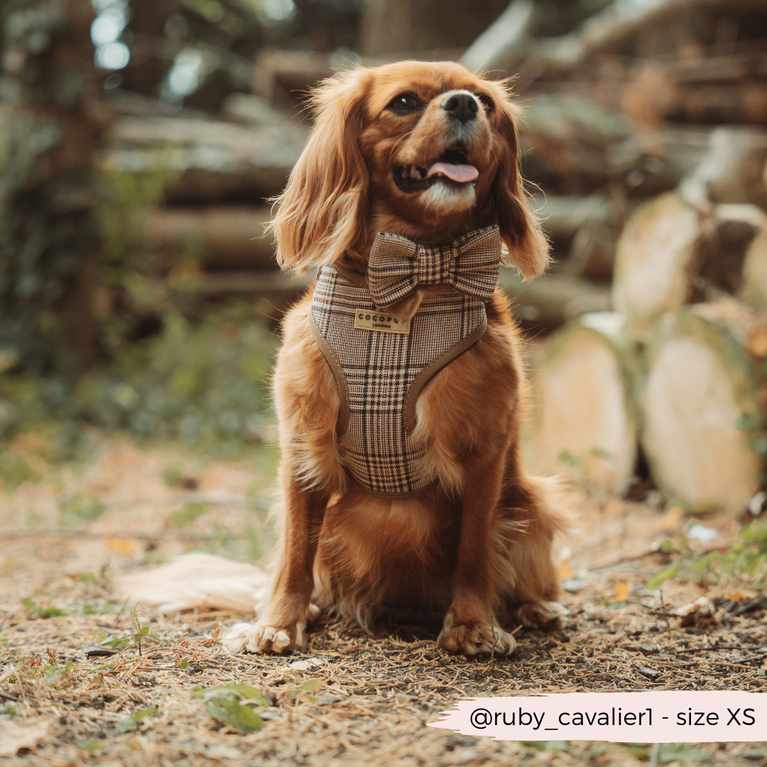 Pup Plaid Adjustable Neck HARNESS