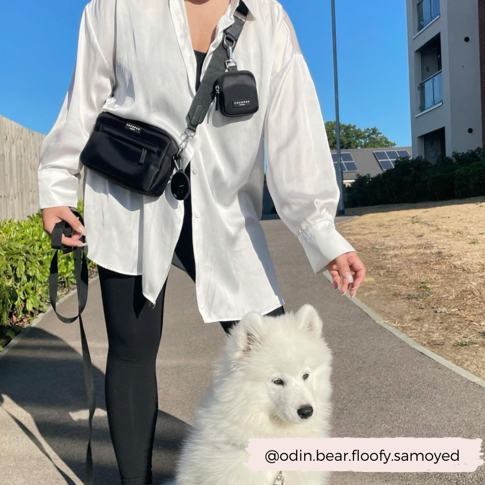 "The Everything" Dog Walking Bag Bundle - Black