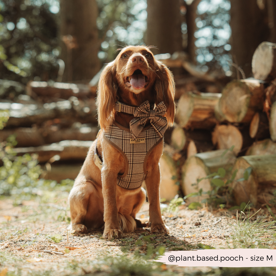 Pup Plaid Adjustable Neck HARNESS