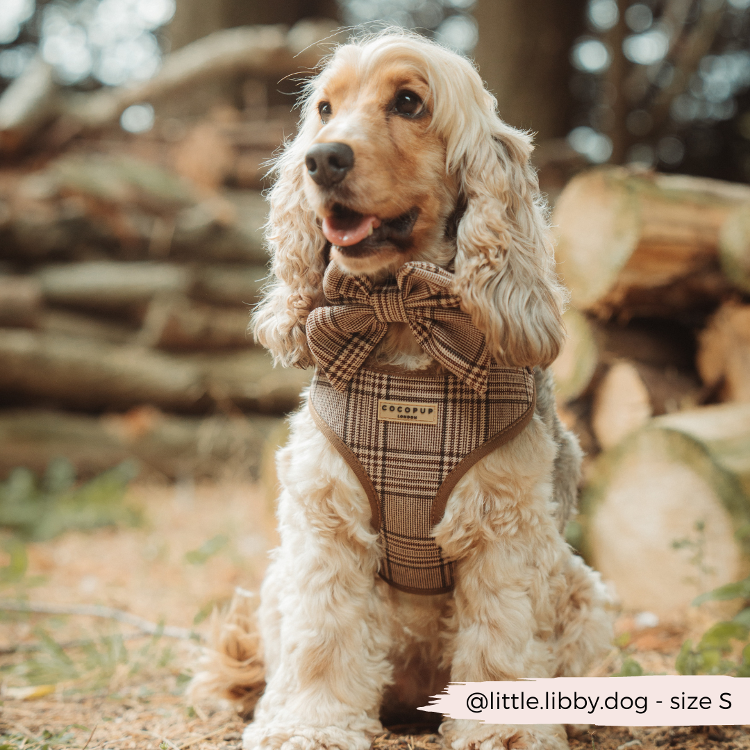 Pup Plaid Adjustable Neck HARNESS