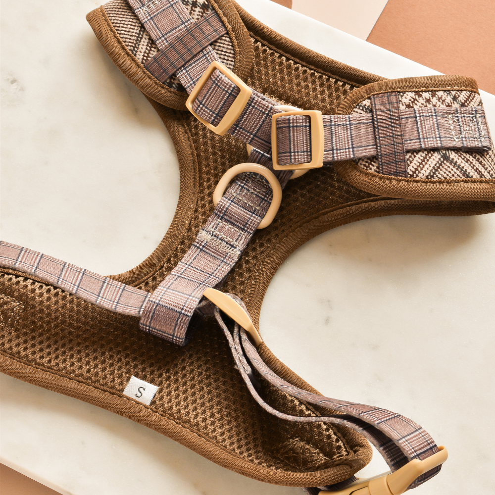 Pup Plaid Adjustable Neck HARNESS
