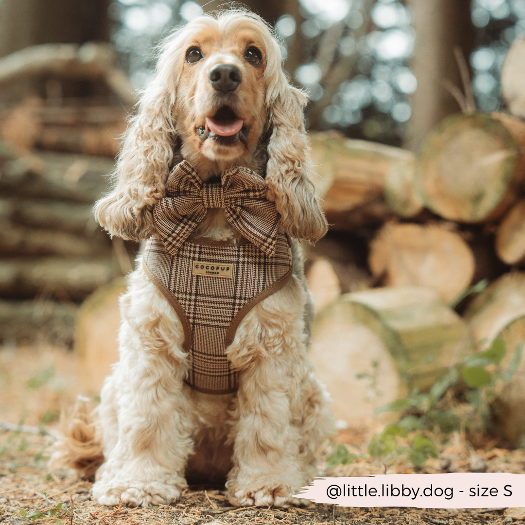 Pup Plaid Adjustable Neck HARNESS