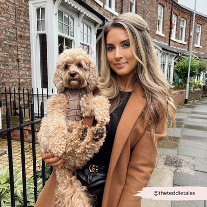 Pup Plaid Adjustable Neck HARNESS