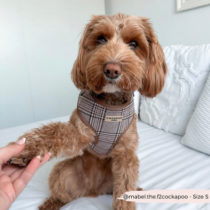 Pup Plaid Adjustable Neck HARNESS