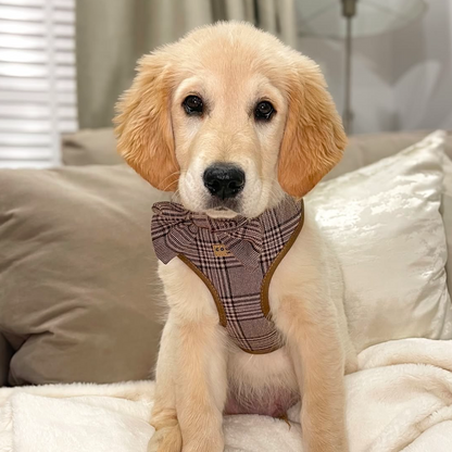 Pup Plaid Adjustable Neck HARNESS