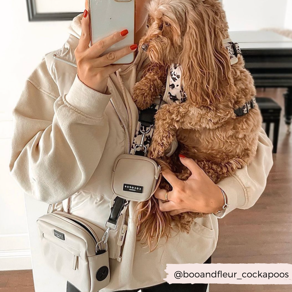 Dog Walking Bag Bundle - Ivory Tort