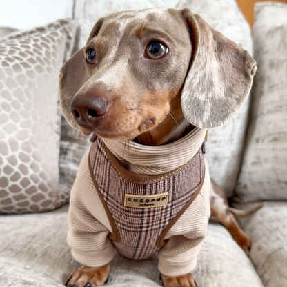 Pup Plaid Adjustable Neck HARNESS