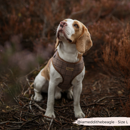 Pup Plaid Adjustable Neck HARNESS