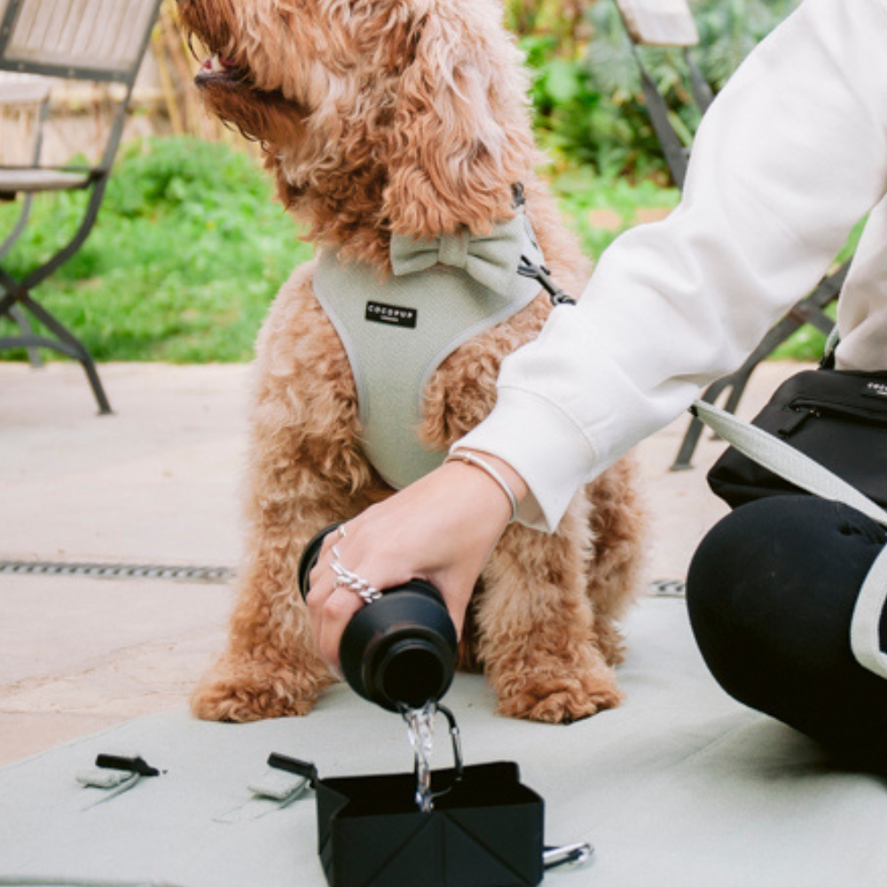 Collapsible Water Bottle - Black
