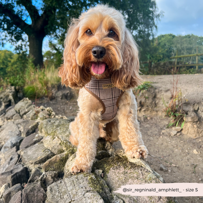 Pup Plaid Adjustable Neck HARNESS