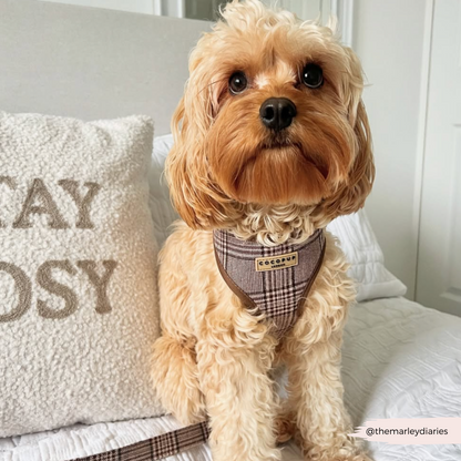 Pup Plaid Adjustable Neck HARNESS