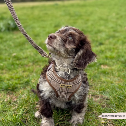 Pup Plaid Adjustable Neck HARNESS
