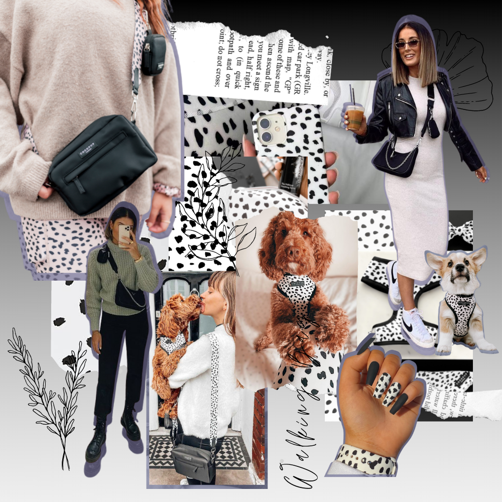 Large Dog Walking Bag - Black